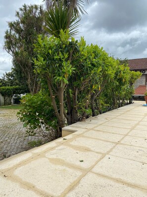 Property grounds - CASA AUGUSTA 5 (Penafiel)