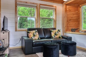 Living area - The Cataloochee Tiny Home on the Pigeon River (Cosby)