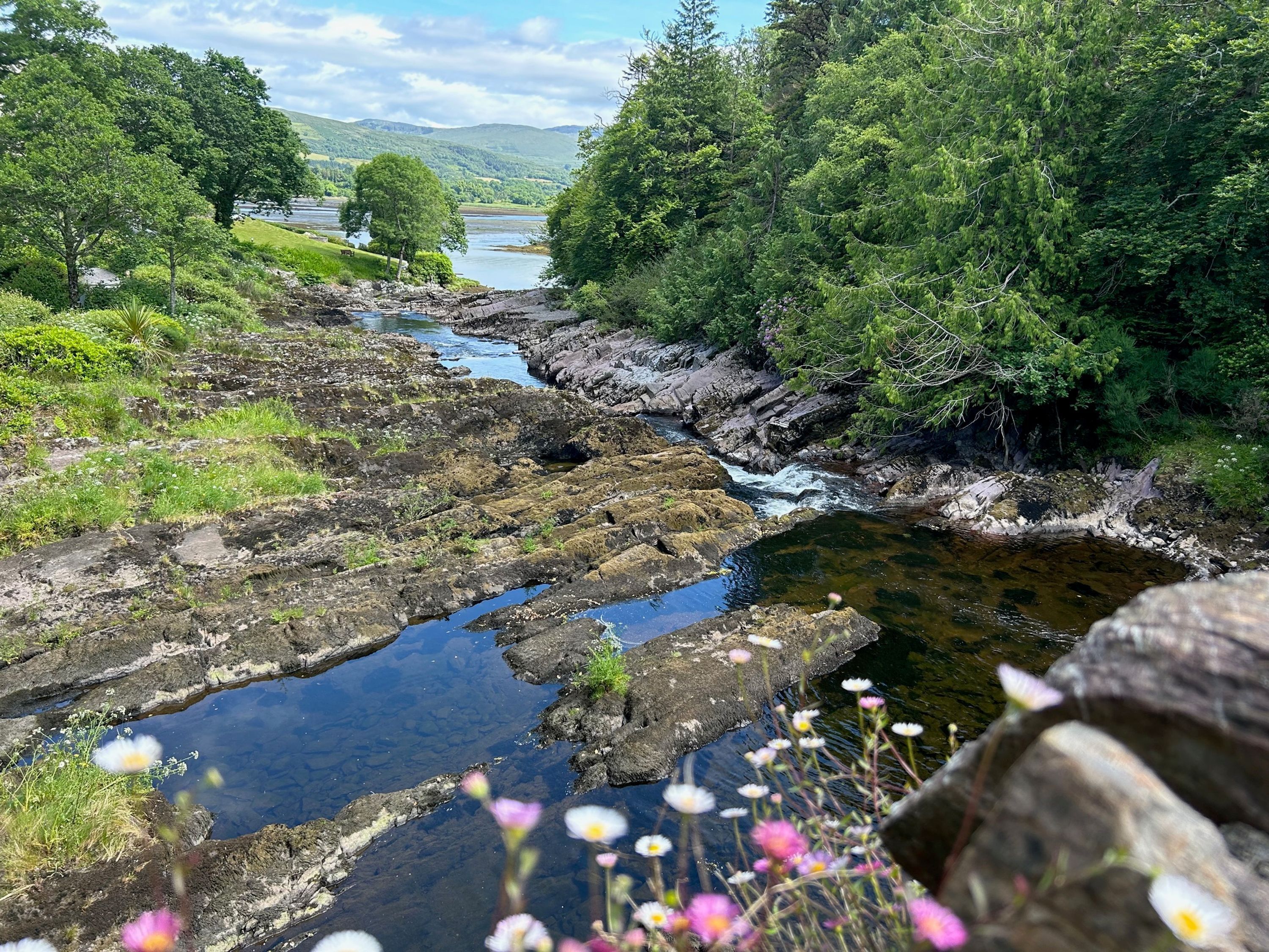 A river flowing through a rocky landscape with greenery and flowers.