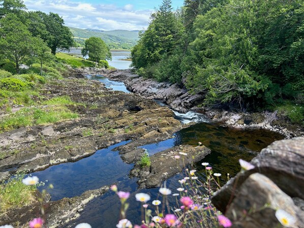 A river flowing through a rocky landscape with greenery and flowers. - 4 Bedroom Detached Home Close to Kenmare Town (Kenmare)