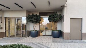 Entrada d'un edifici modern amb portes de vidre, dues palmeres grans en testos i una zona enjardinada amb gespa.