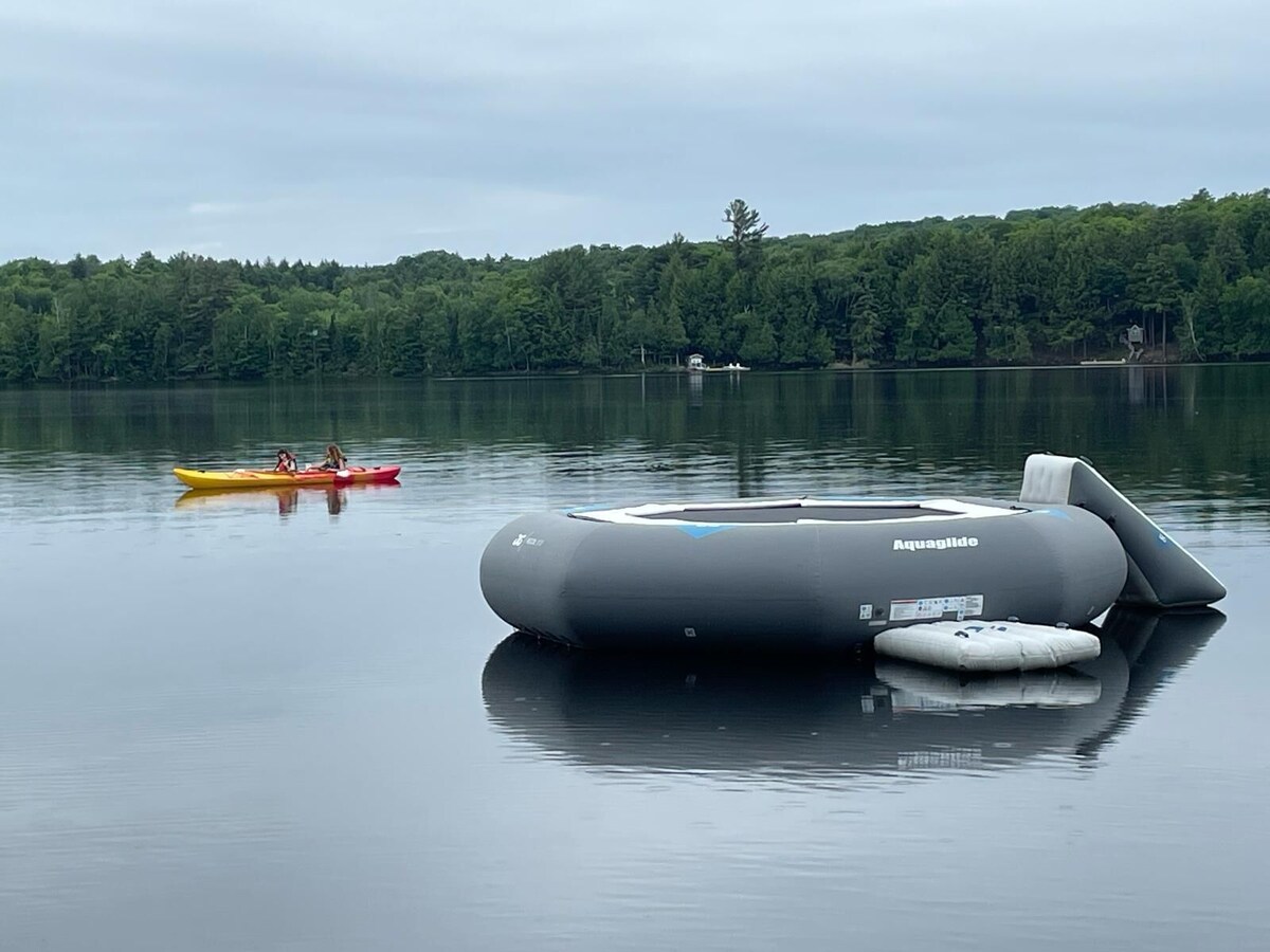Imagen de perfil del propietario o de la propietaria
