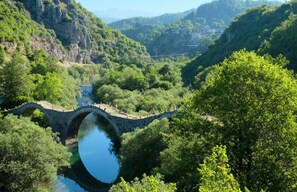 Estudio | 1 dormitorio