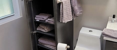 Haartrockner, Handtücher, Seife, Shampoo