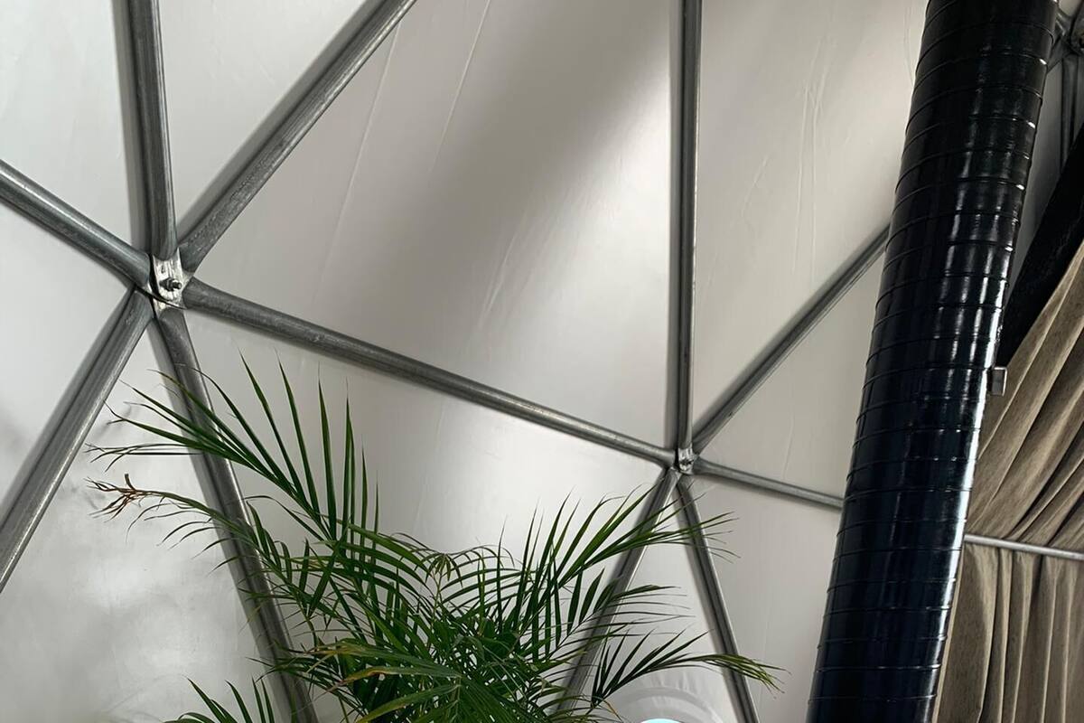 A room with a geometric ceiling structure, a potted plant, a round window, and a black chimney.