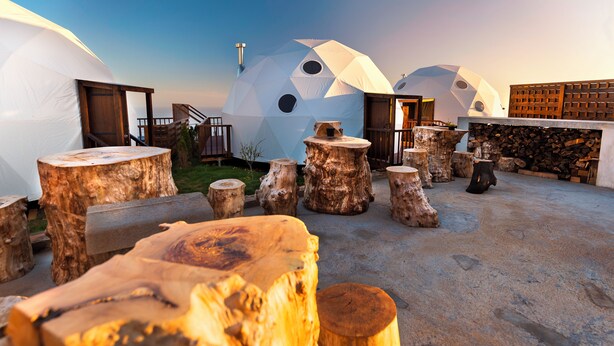 A yurt-style building with a wooden deck, large tree stumps, and a stone wall.