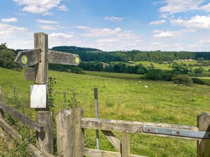 Unclassified image, 5 of 21, button