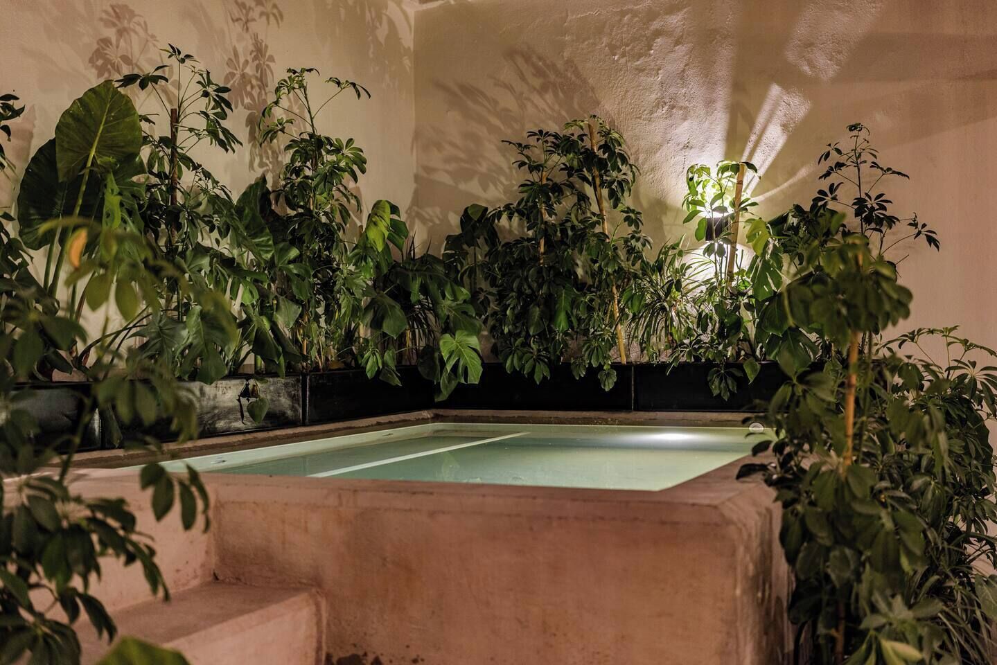 Une piscine entourée d’une végétation luxuriante, dans un espace intérieur bien éclairé.