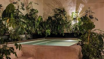 A pool surrounded by lush green plants in a well-lit indoor setting.