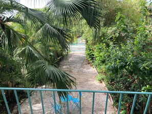 A pathway flanked by lush greenery and a blue railing. - 2-bedroom apartment in Culebra, wrap around porch and roof deck with ocean view! (Culebra)