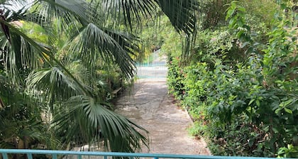 2-bedroom apartment in Culebra, wrap around porch and roof deck with ocean view!
