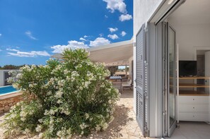 Terraza o patio