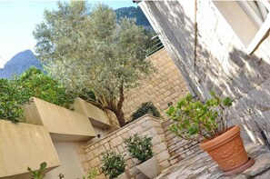Surrounded by a stone wall, a majestic olive tree stands tall amidst a serene mountainous landscape.