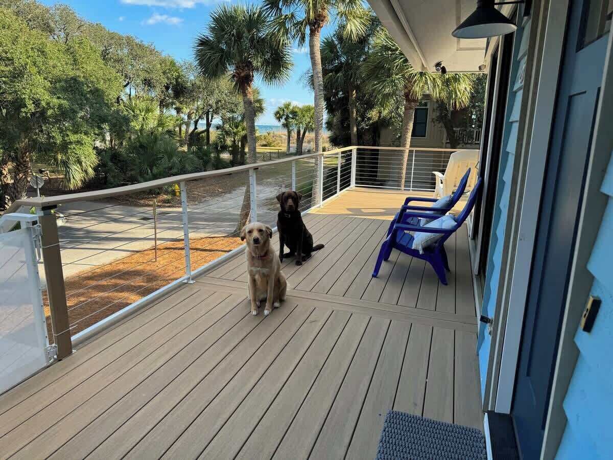 A wooden deck with two dogs, a blue chair, and a railing overlooking a landscaped area with trees.