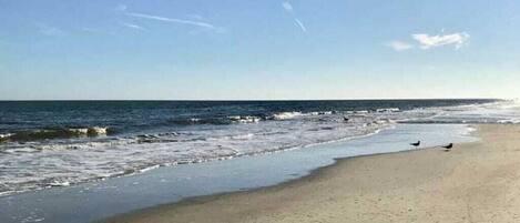 بالقرب من الشاطئ