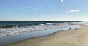 Una spiaggia con una battigia sabbiosa e onde tranquille.