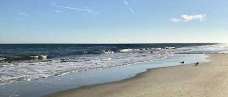 Playa en los alrededores