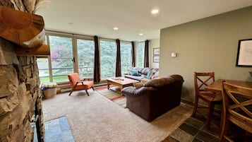 Smart TV, chimenea y libros