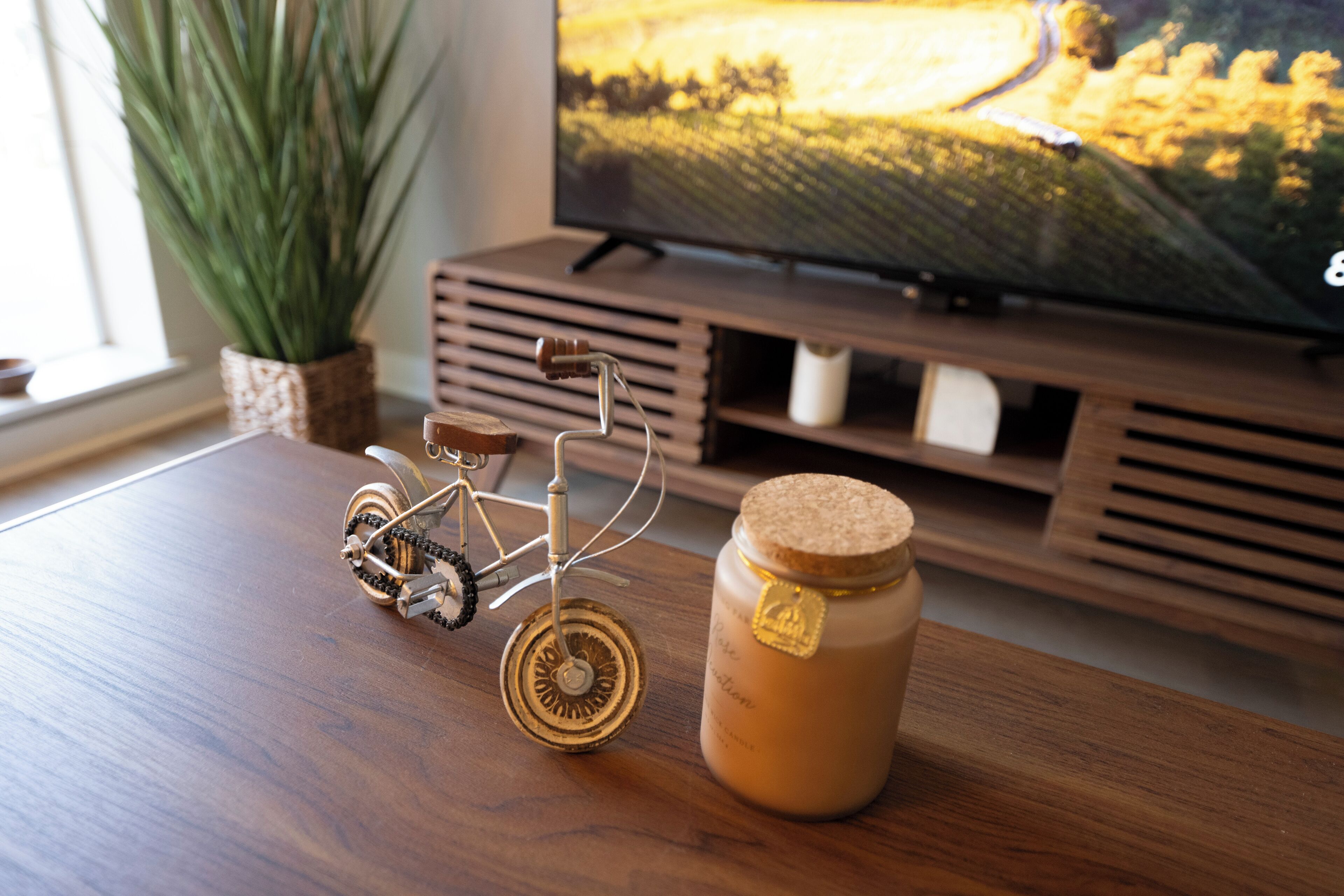 Television