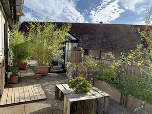 Terrace/patio - Le Catalpa: in the heart of a farmhouse (Mittelhausbergen)