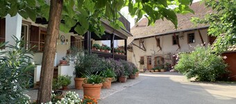 Le Catalpa: in the heart of a farmhouse