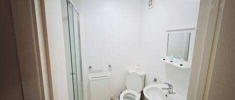 A small, clean bathroom with a toilet, sink, and mirror.