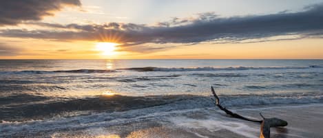 A sunset over the ocean with waves and a branch on the shore.