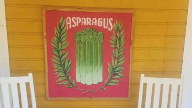 A wall with a painting of asparagus and two white chairs.