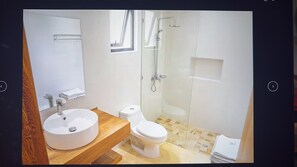 Shower, hair dryer, towels