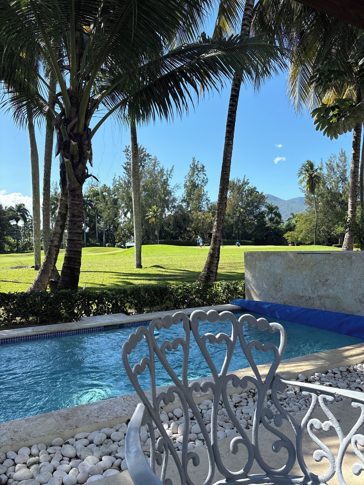 Imagen de perfil del propietario o de la propietaria