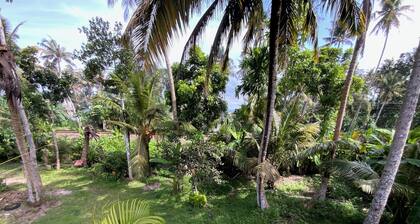Wee_amazonia en la Selva Tropical y Playa!