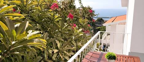 Un balcón con mesa y silla de madera, rodeado de exuberante vegetación y flores rosadas, con vistas a la costa.