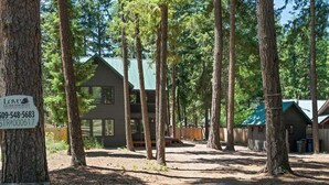 Eine Lodge mit grüner Dachbegrünung, umgeben von hohen Bäumen, mit einem Schild, das 'The Black Forest Lodge' ausweist.