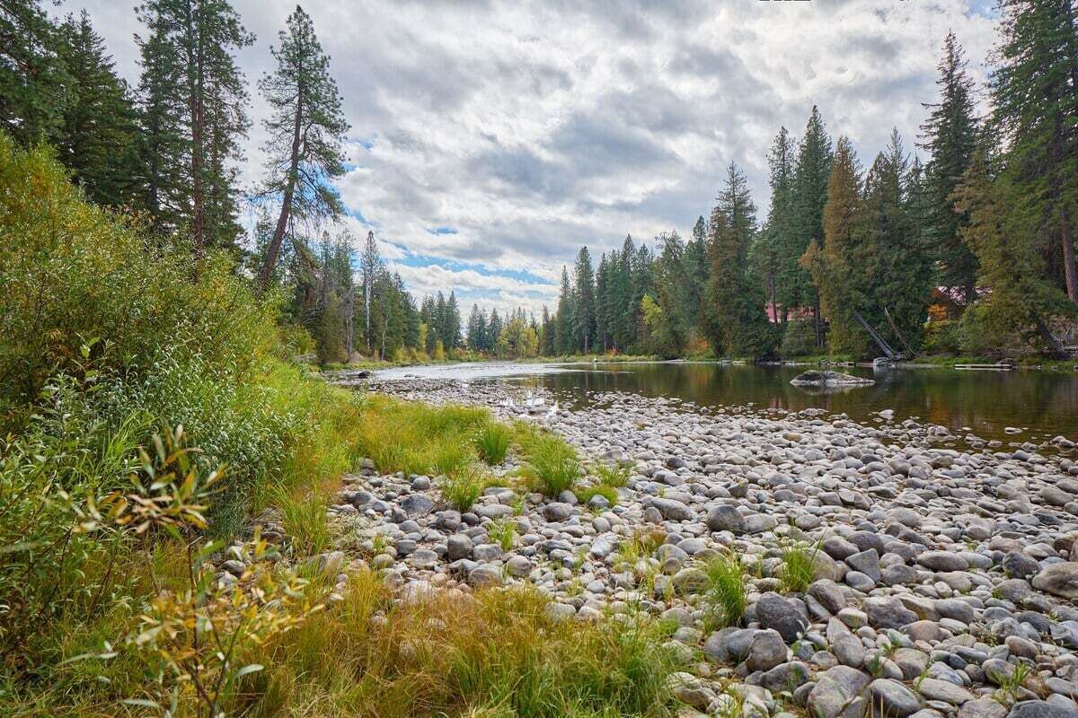 Un río con orilla rocosa, rodeado de un bosque denso y árboles altos.