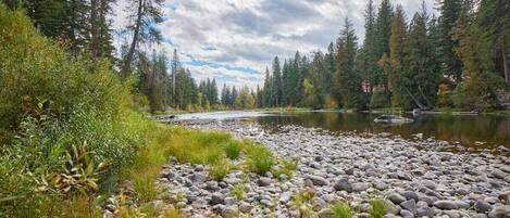 Un río con orilla rocosa, rodeado de un bosque denso y árboles altos.