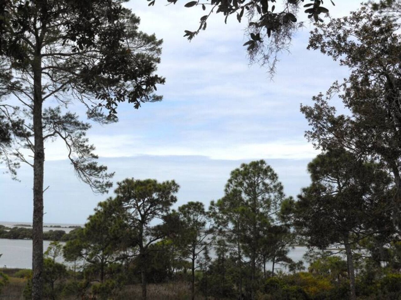 A natural landscape with trees and a body of water in the background.