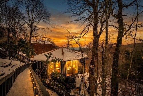Breathtaking Boutique Treehouse nestled in clouds