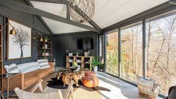 Télévision, cheminée, espaces bureaux