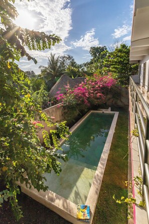 A rectangular swimming pool surrounded by lush greenery and pink flowers, with a stone wall and a metal railing on one side. - Villa Bugambilias Near Bacalar Lagoon (Bacalar)