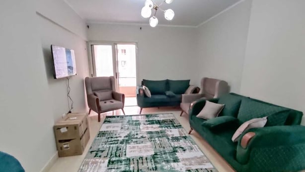 A living room with a green sofa, a beige armchair, and a patterned rug. There are cardboard boxes on the floor and a ceiling light fixture. - Egyptian room (Cairo)