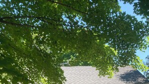 A small, single-story house with a gabled roof, a front door, and a small porch. - Charming 2-bedroom cottage in Fish Creek with AC, heat, WiFi (Fish Creek)