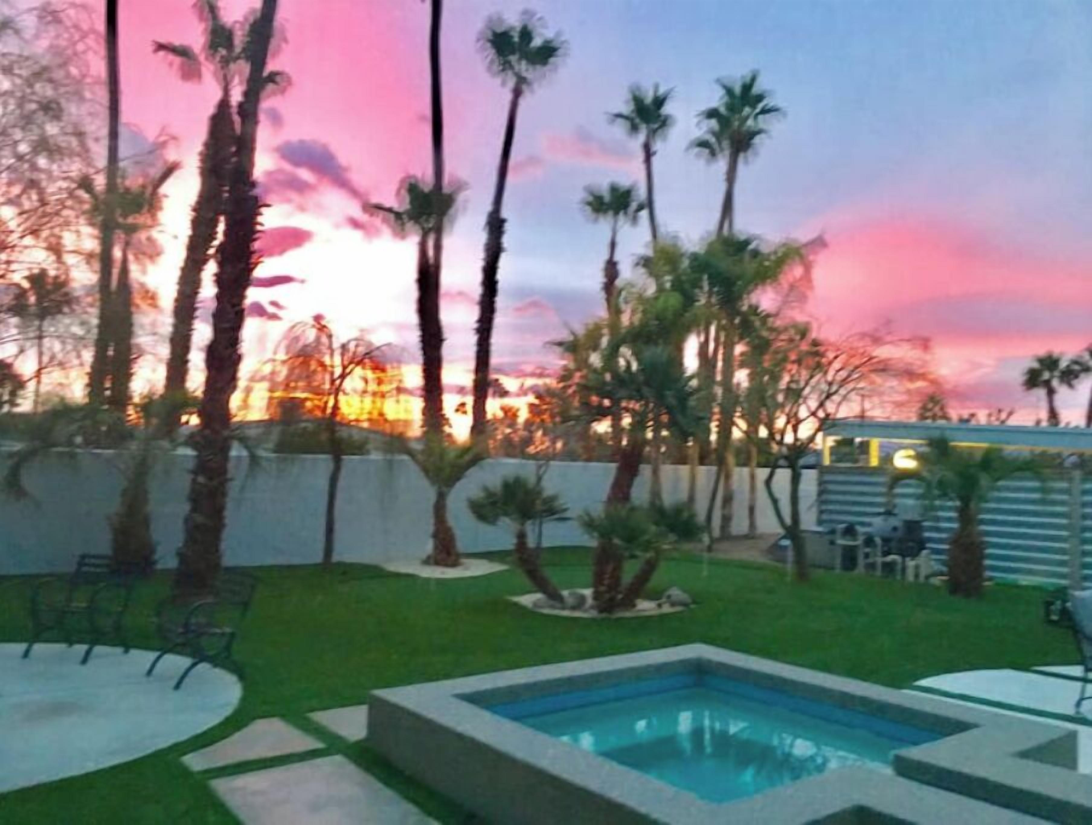 Un jardin avec une piscine, des palmiers et une clôture blanche.