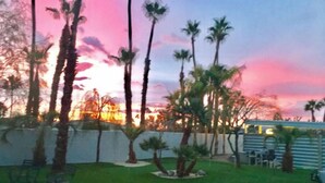 A backyard with a swimming pool, palm trees, and a white fence.