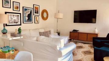 Smart TV, fireplace, DVD player, books