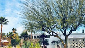 A landscaped garden with various plants and trees, a white building with a geometric facade, and a clear sky.