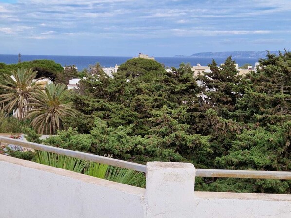 الإطلالة من المنشأة