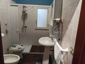 Shower, hair dryer, bidet, towels