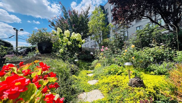 Un jardín con diversas plantas y flores, un sendero y un edificio al fondo.