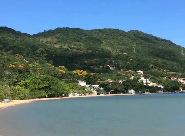 Beach nearby - HIGH STANDARD HOUSE IN FRONT OF THE BEACH WITH POOL (Ribeirão da Ilha Florianópolis)