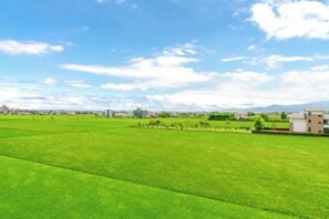 A green field with buildings in the distance.